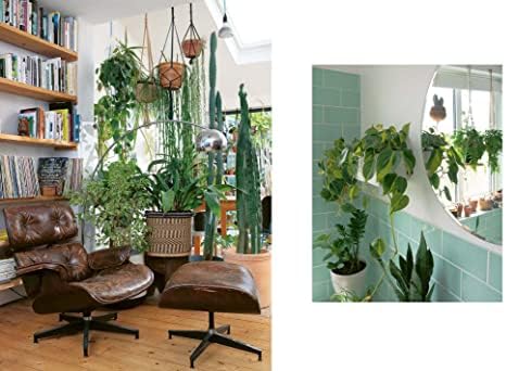 The Plant Rescuer: The book your houseplants want you to read by Sarah Gerrard-Jones