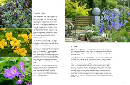 Containers in the Garden by Claus Dalby