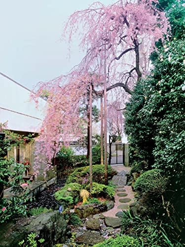 Inside Your Japanese Garden: A Guide to Creating a Unique Japanese Garden for Your Home by Joseph Cali