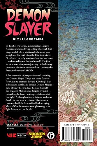 Demon Slayer: Kimetsu no Yaiba, Vol. 22: The Wheel Of Fate by Koyoharu Gotouge