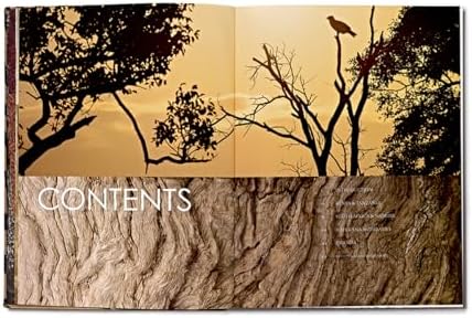Safari Style: Exceptional African Camps and Lodges―Stunning photographic volume showcasing the interior décor of Africa’s foremost luxury and eco-safari lodges by Melissa Biggs Bradley