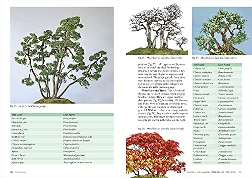 Forest Penjing: Enjoy the Miniature Landscape by Growing, Care and Appreciation of Chinese Bonsai Trees by Qingquan Zhao