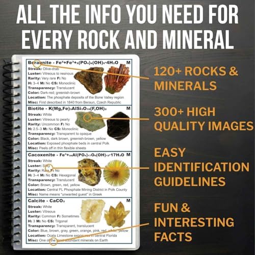 Florida Rocks & Minerals Identification Field Guide | Waterproof | Find Rocks, Minerals, Crystals, and Gems | For Beginners, Kids, and Experienced Rockhounds | Rock Chasing by Rock Chasing