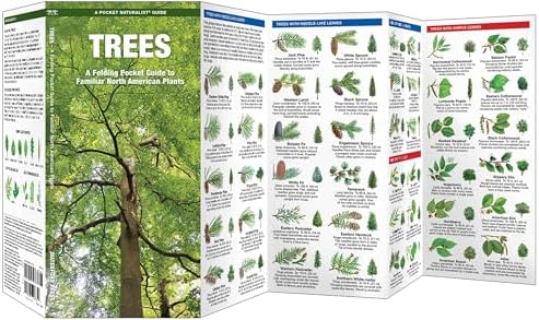 Trees: A Folding Pocket Guide to Familiar North American Plants (Nature Observation North America) by James Kavanagh Waterford Press
