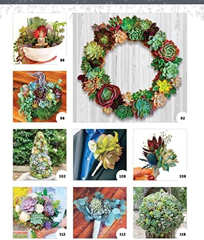 Succulents for Your Home and Garden: A Guide to Growing 191 Beautiful Varieties & 11 Step-by-Step Crafts and Arrangements (Creative Homeowner) Gardening, Crafting, and Plant Care by Gideon Smith