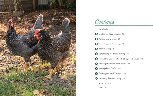 From Seed to Table: Homesteading Guide to Growing Food, Canning, Food Preservation, and Sustainable Living by Diane Devereaux
