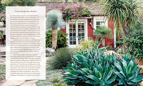 Striking Succulent Gardens: Plants and Plans for Designing Your Low-Maintenance Landscape [A Gardening Book] by Gabriel Frank