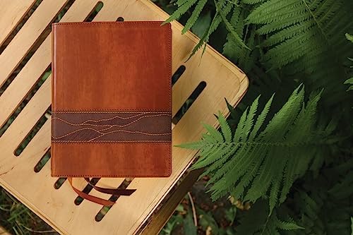 Rooted: The NIV Bible for Men, Leathersoft, Brown, Comfort Print: Shaping Men for Faithful Living in Today’s World by Zondervan