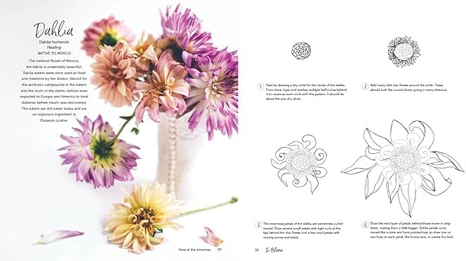 In Bloom: A Step-by-Step Guide to Drawing Lush Florals by Rachel Reinert