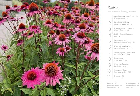 The Water-Smart Garden: Techniques and Strategies for Conserving, Capturing, and Efficiently Using Water in Today's Climate... and Tomorrow's by Noelle Johnson