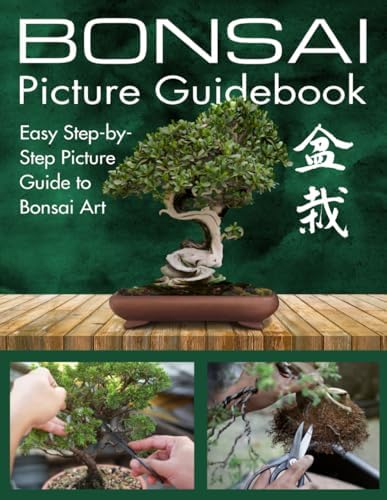Bonsai Picture Guidebook: Bonsai Trees Book for Beginners with Easy Step-by-Step Visual Guide to Growing, Caring and Shaping Bonsai Trees by Medina Creative