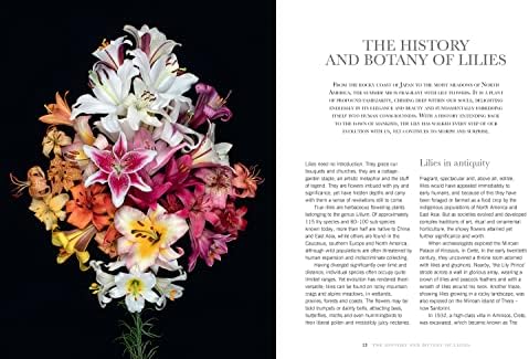 Lilies: Beautiful varieties for home and garden by Naomi Slade