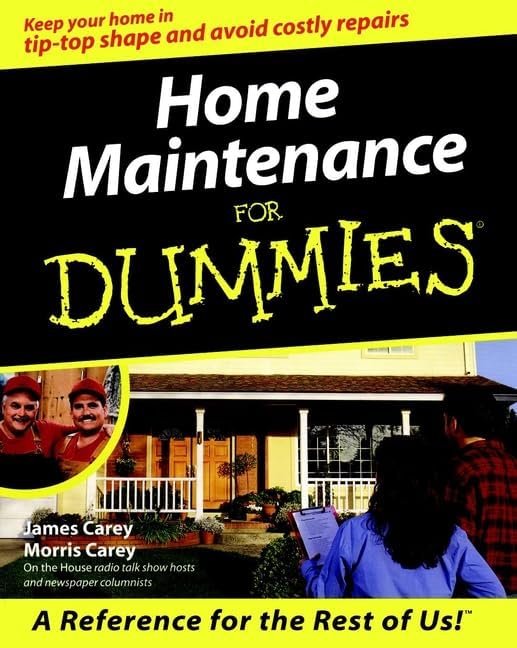 Home Maintenance for Dummies by James Carey