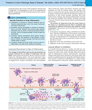 Robbins & Cotran Pathologic Basis of Disease (Robbins Pathology) by Vinay Kumar MBBS MD FRCPath