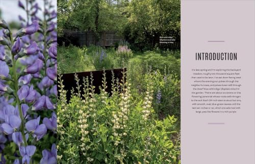 Unlawn America: A Grassroots Guide to Rewilding Your Yard by Benjamin Vogt