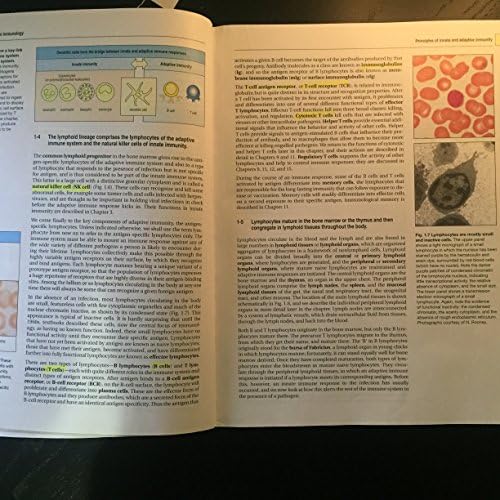 Janeway's Immunobiology by Kenneth Murphy