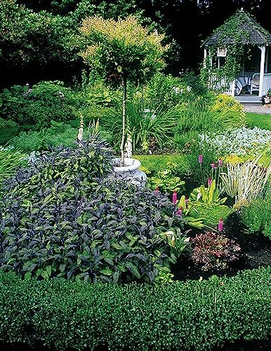 California Home Landscaping, Fourth Edition: 48 Landscape Designs 200+ Plants & Flowers Best Suited to the Region (Creative Homeowner) Over 400 Photos, Native Plant Profiles, and Outdoor DIY Projects by Roger Holmes
