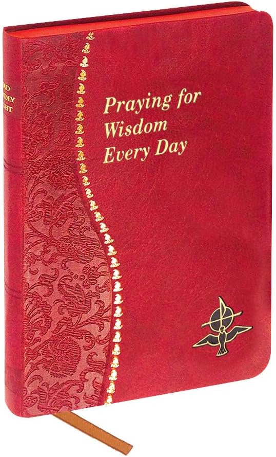 Praying for Widsom Every Day (Catholic Daily Devotionals) by Jude Winkler