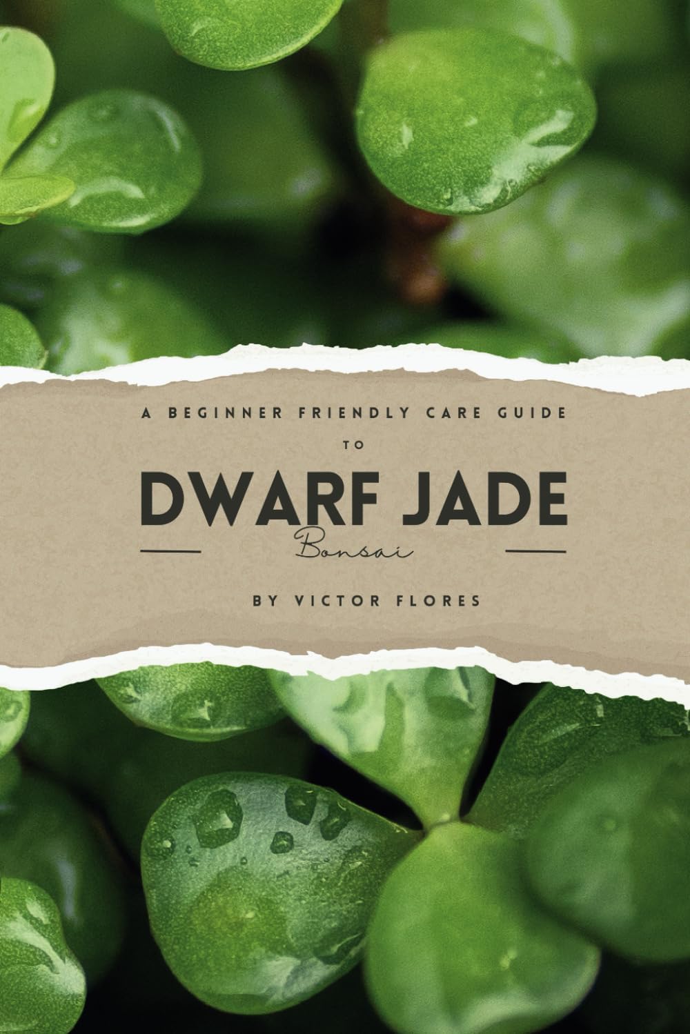 A Beginner Friendly Care Guide to Dwarf Jade Bonsai by Victor Flores