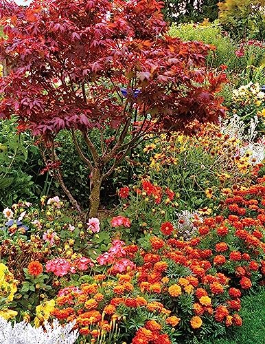 Northwest Home Landscaping, Fourth Edition: 48 Landscape Designs, 200+ Plants & Flowers Best Suited to the Northwest (Creative Homeowner) For the Pacific Northwest: WA, OR, and Western BC, Canada by Roger Holmes