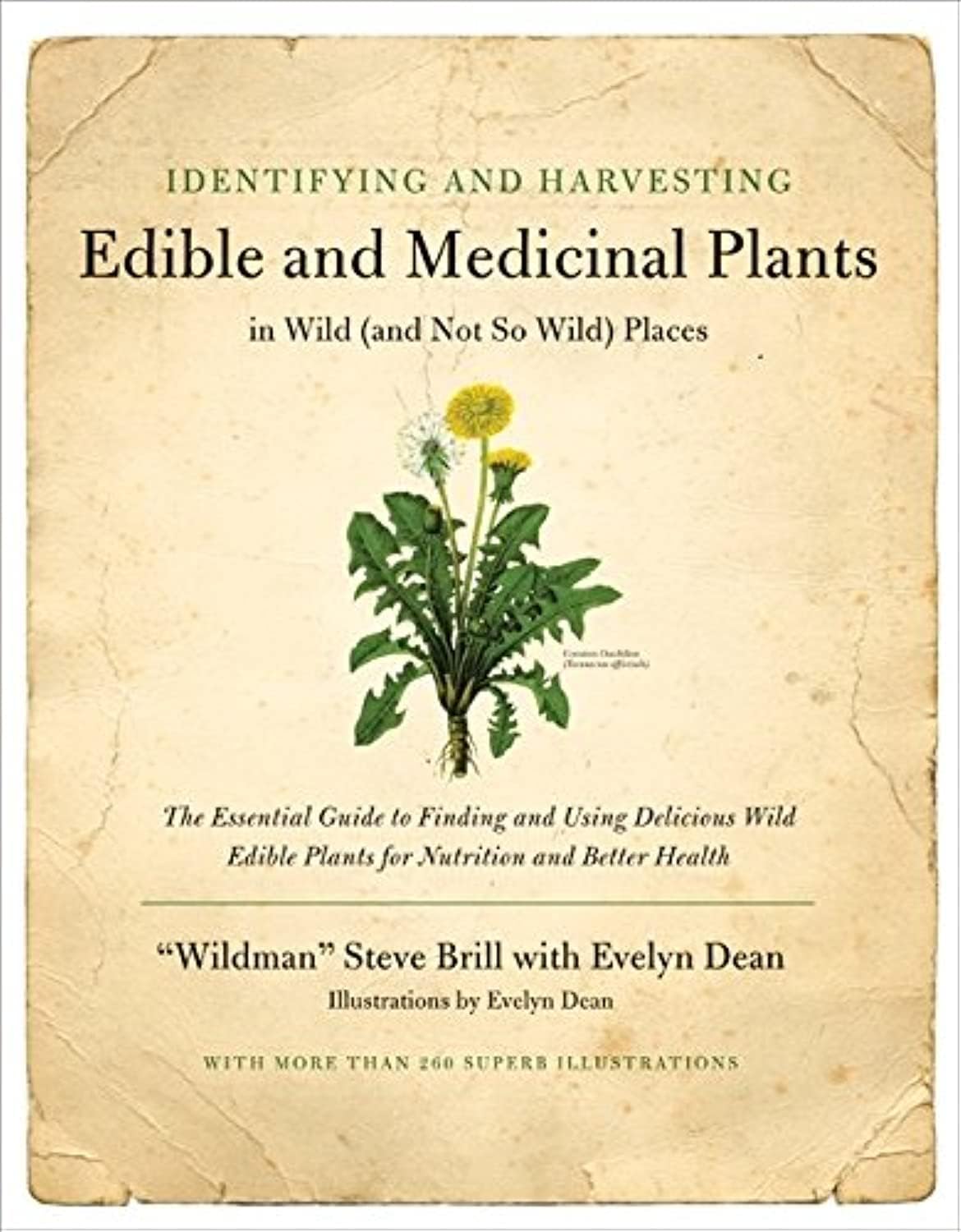 Identifying and Harvesting Edible and Medicinal Plants in Wild (and Not So Wild) Places by Steve Brill