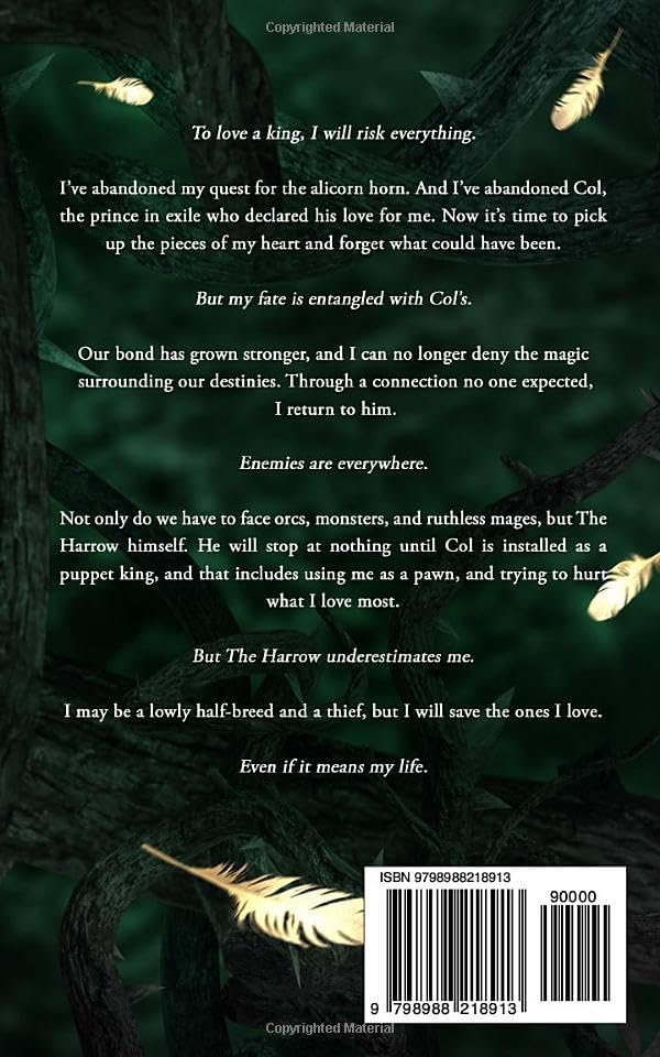 Of Kings and Thieves (Wanderers of Ruin) by Tiffany Hunt