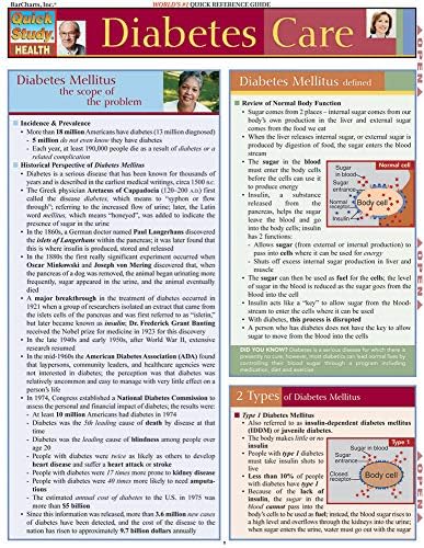 Diabetes Care (Quick Study Health) by Jody Grahn