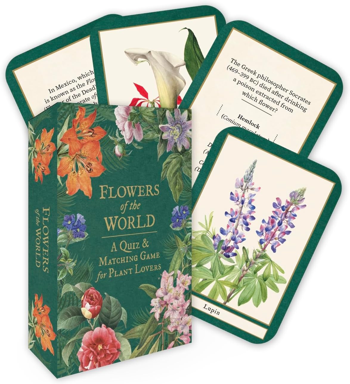 Flowers of the World: A Matching and trivia game for plant lovers by Pyramid