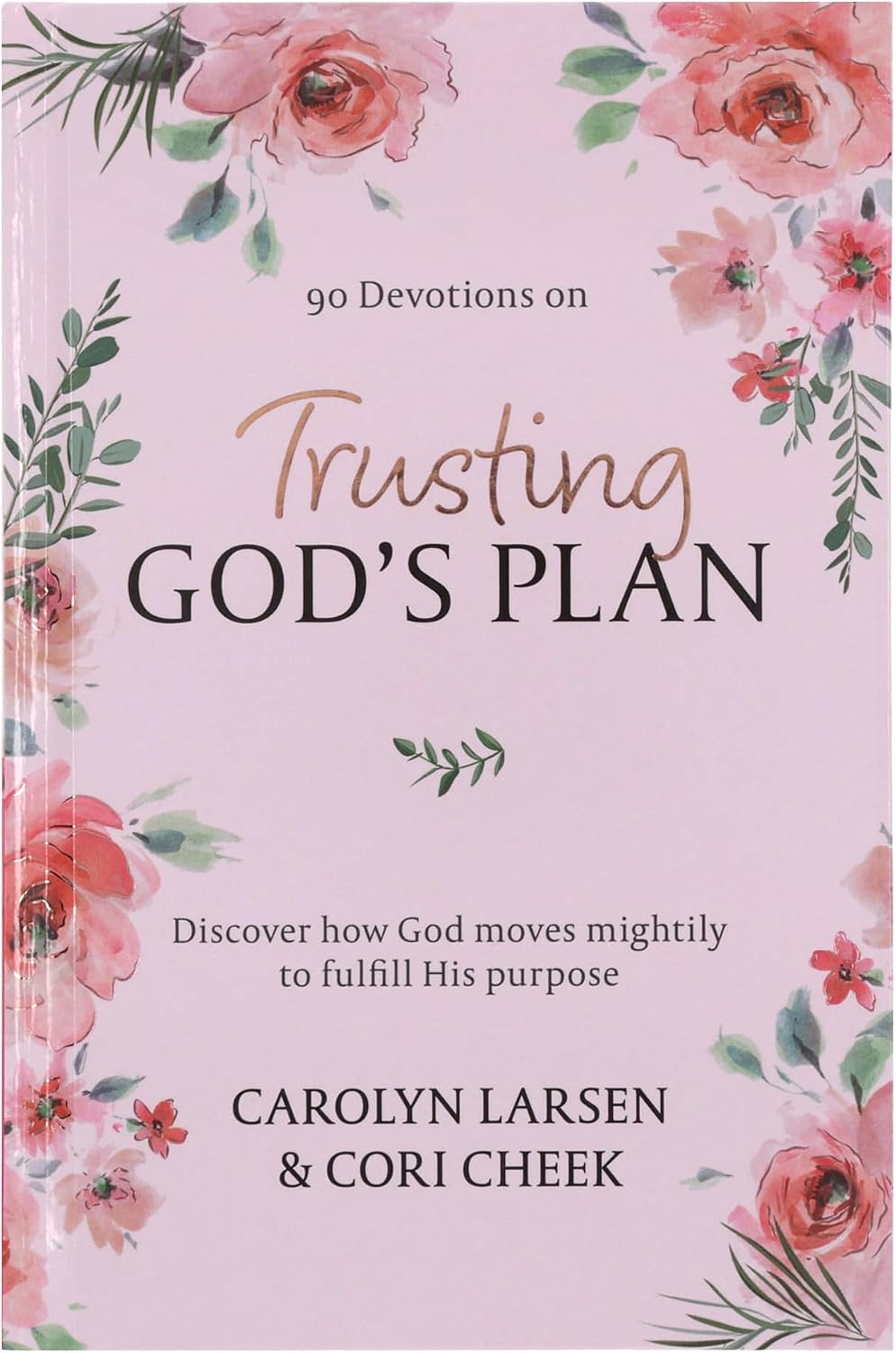 Trusting God's Plan 90 Day Devotional by Carolyn Larsen