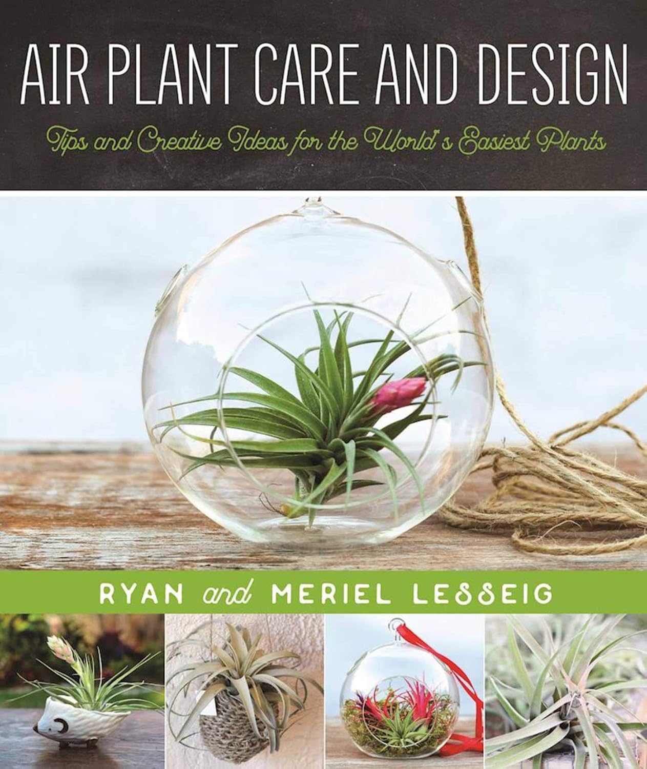 Air Plant Care and Design: Tips and Creative Ideas for the World's Easiest Plants by Meriel Lesseig