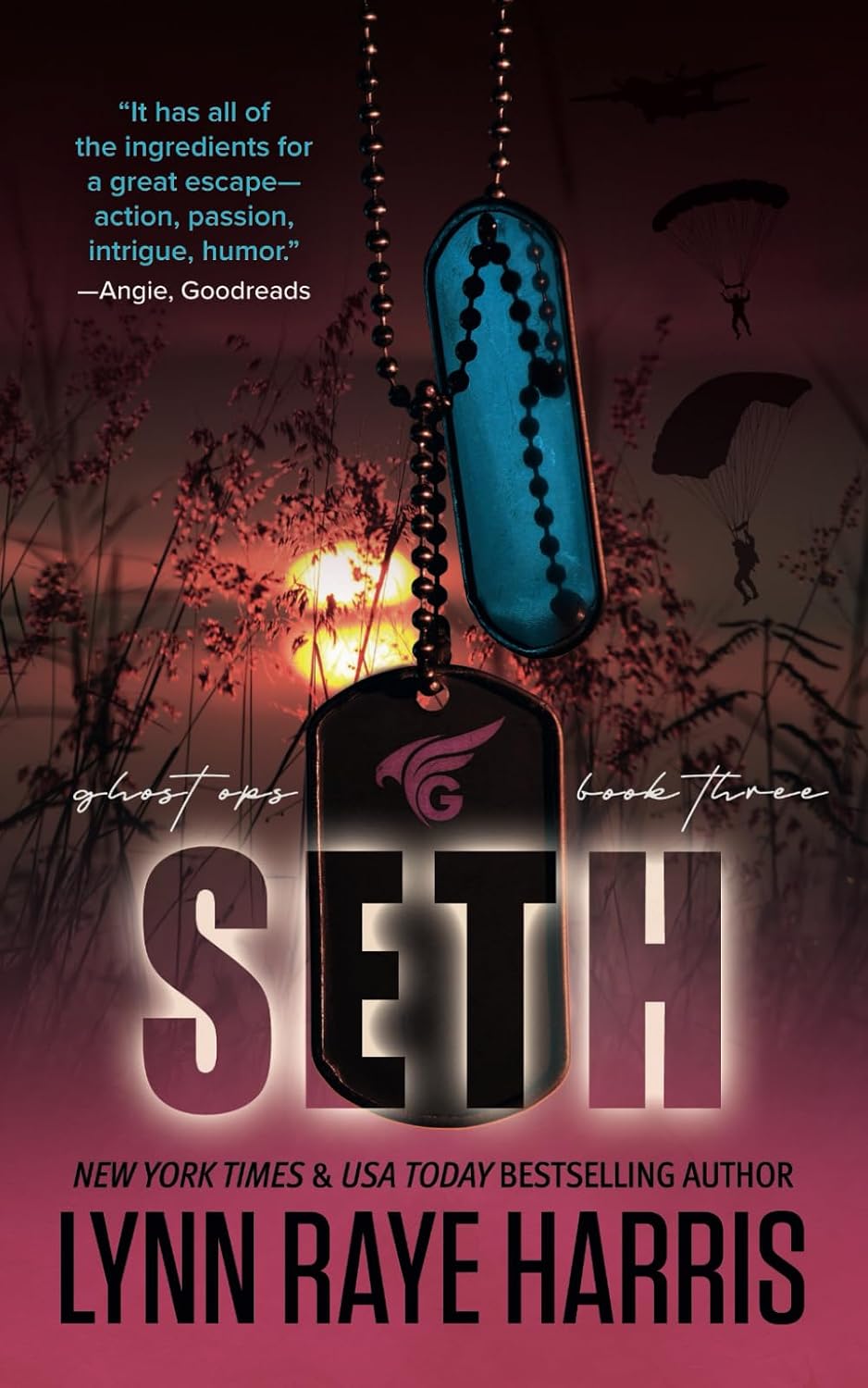 Seth: A Small Town, Enemies to Lovers, Military Protector Romance (Ghost Ops) by Lynn Raye Harris