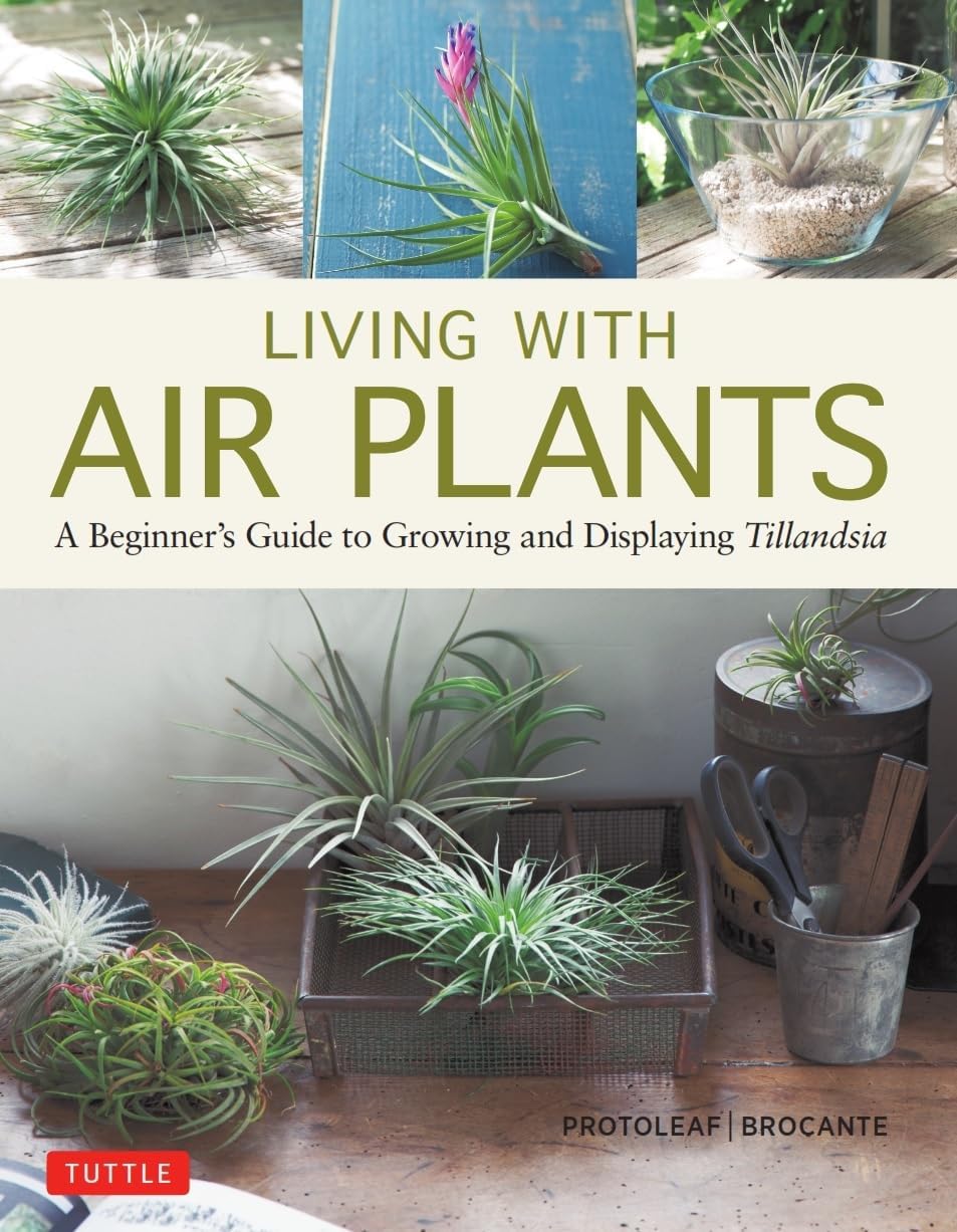 Living with Air Plants: A Beginner's Guide to Growing and Displaying Tillandsia by Yoshiharu Kashima (Protoleaf)