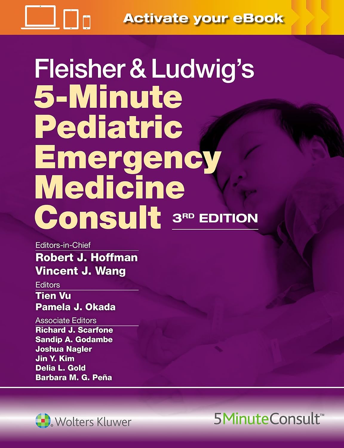 Fleisher & Ludwig's 5 Minute Pediatric Emergency Medicine Consult (The 5-Minute Consult Series) by ROBERT JAMES HOFFMAN