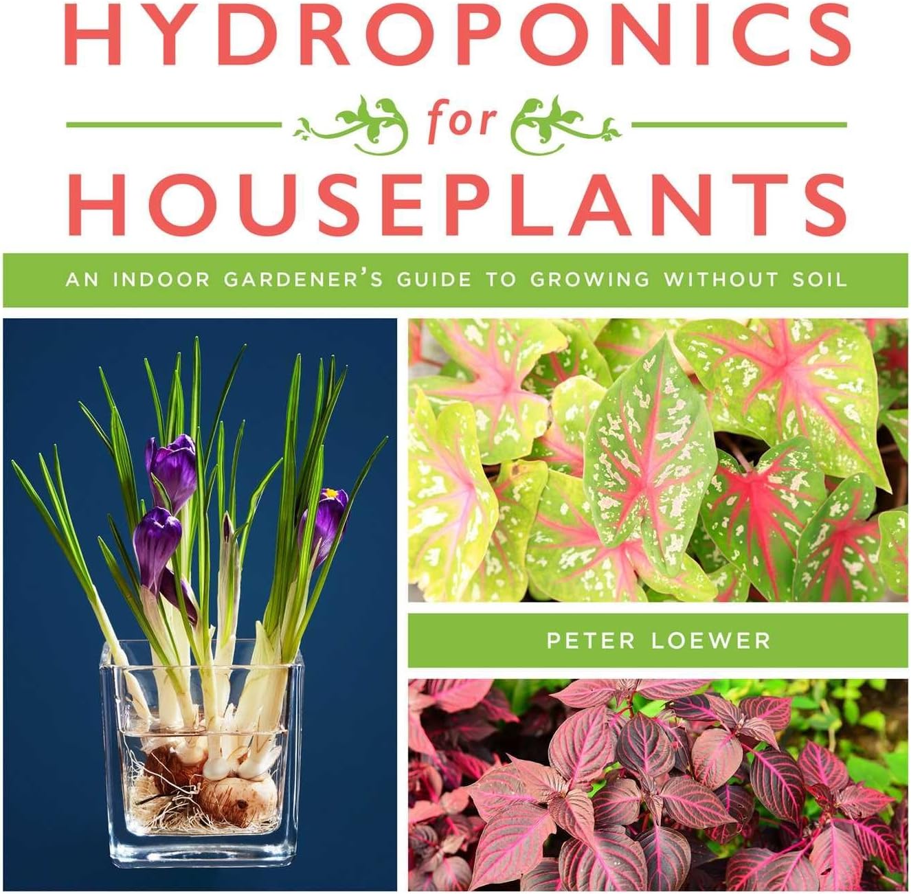 Hydroponics for Houseplants: An Indoor Gardener's Guide to Growing Without Soil by Peter Loewer