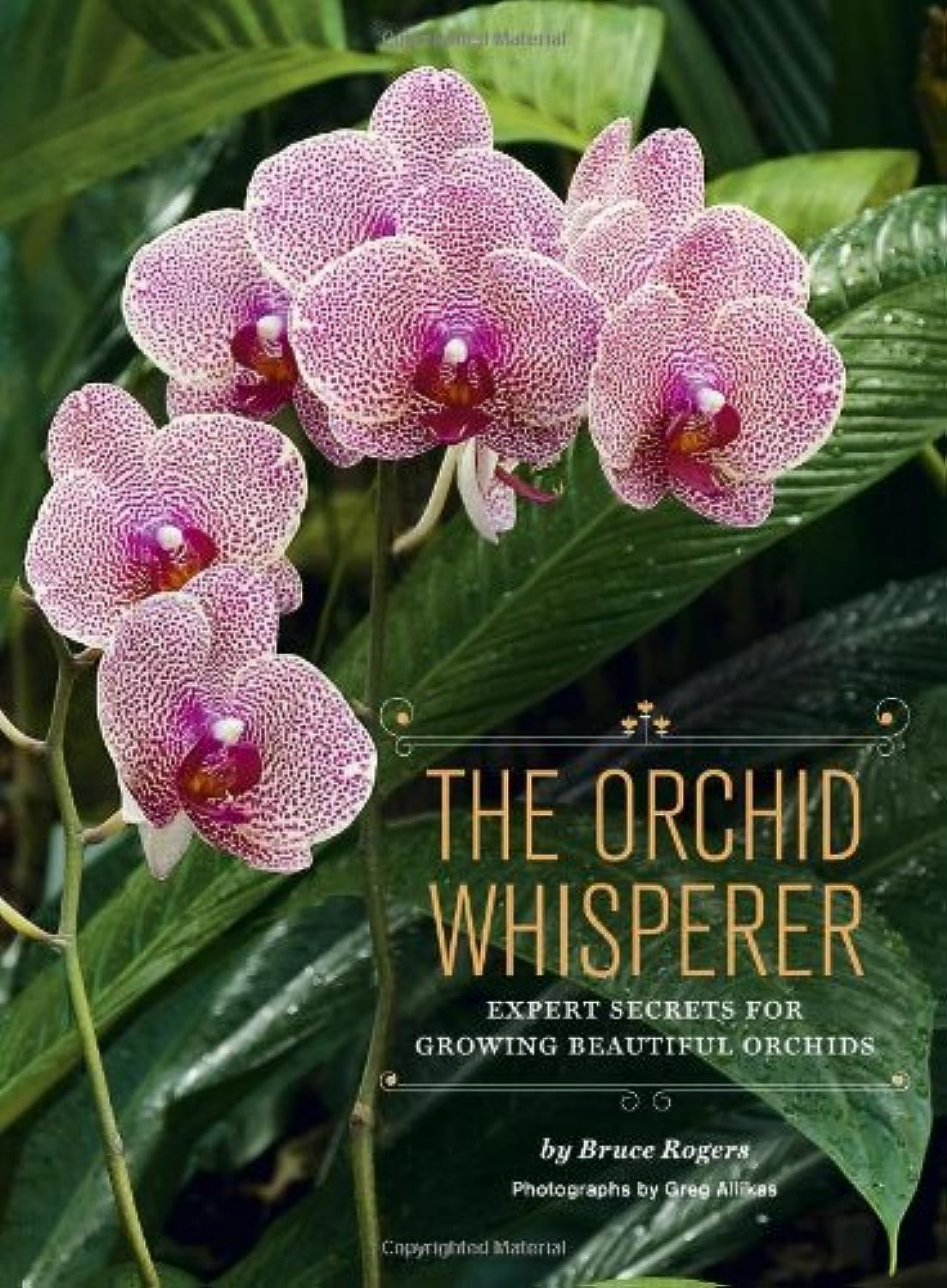 The Orchid Whisperer: Expert Secrets for Growing Beautiful Orchids by Bruce Rogers