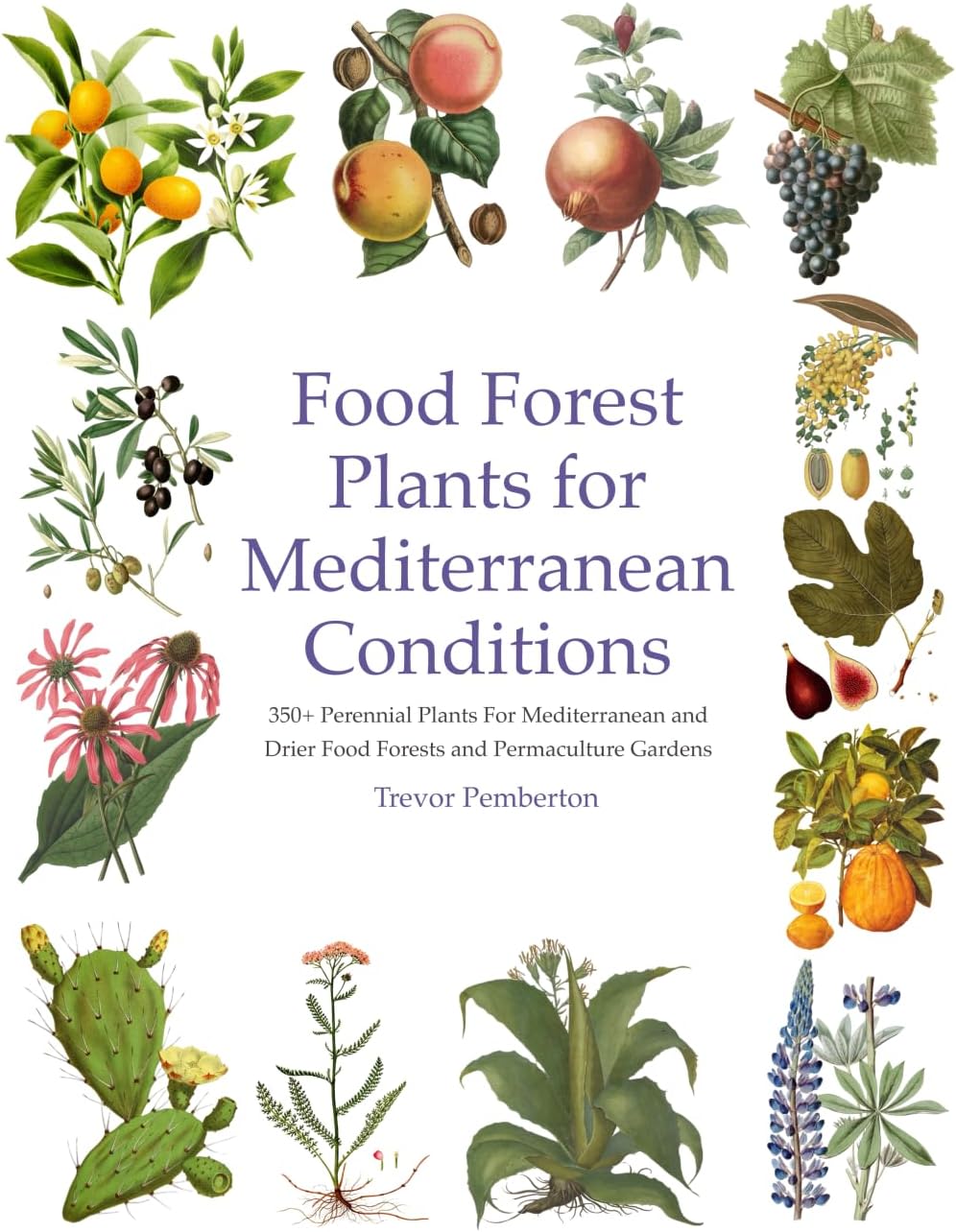 Food Forest Plants for Mediterranean Conditions: 350+ Perennial Plants For Mediterranean and Drier Food Forests and Permaculture Gardens by Trevor Pemberton