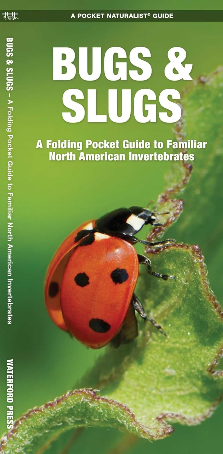 Bugs & Slugs, 2nd Ed: A Folding Pocket Guide to Familiar North American Invertebrates (Nature Observation North America) by James Kavanagh Waterford Press
