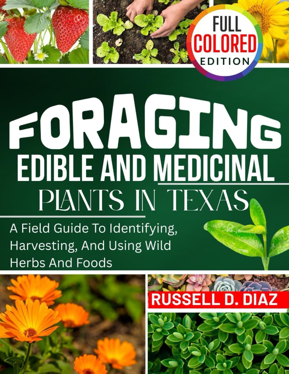FORAGING EDIBLE AND MEDICINAL PLANTS IN TEXAS (FULL COLORED): A Field Guide To Identifying, Harvesting, And Using Wild Herbs And Foods by RUSSELL D. DIAZ