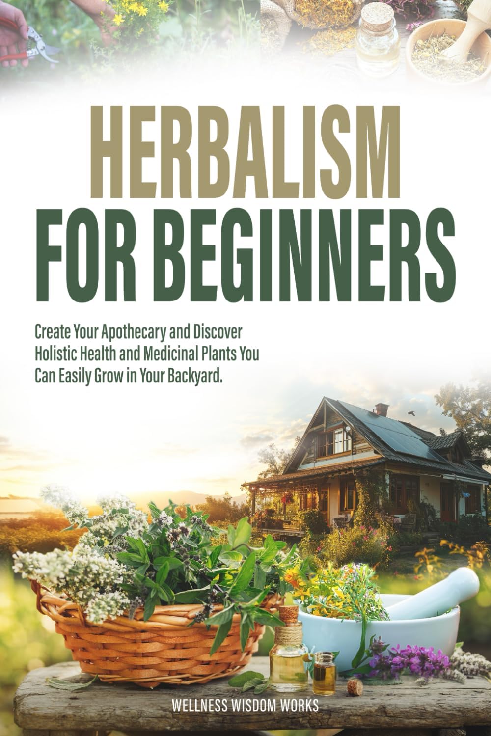 HERBALISM FOR BEGINNERS: CREATE YOUR APOTHECARY AND DISCOVER HOLISTIC HEALTH AND MEDICINAL PLANTS YOU CAN EASILY GROW IN YOUR BACKYARD by Wellness Wisdom Works