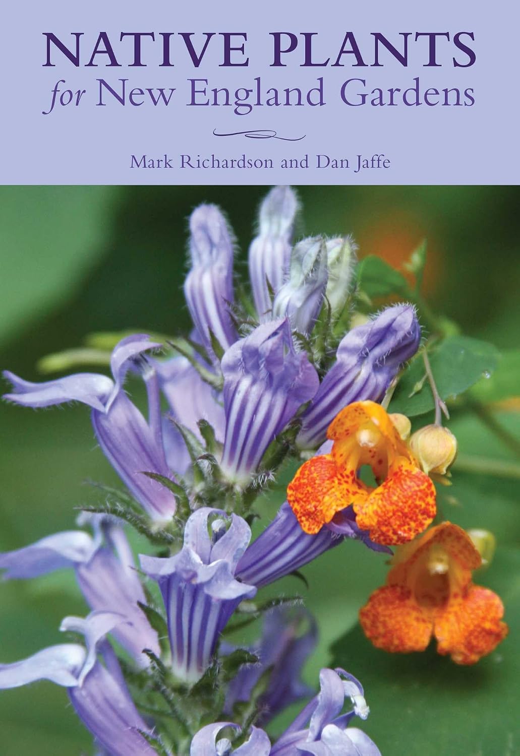 Native Plants for New England Gardens by Mark Richardson