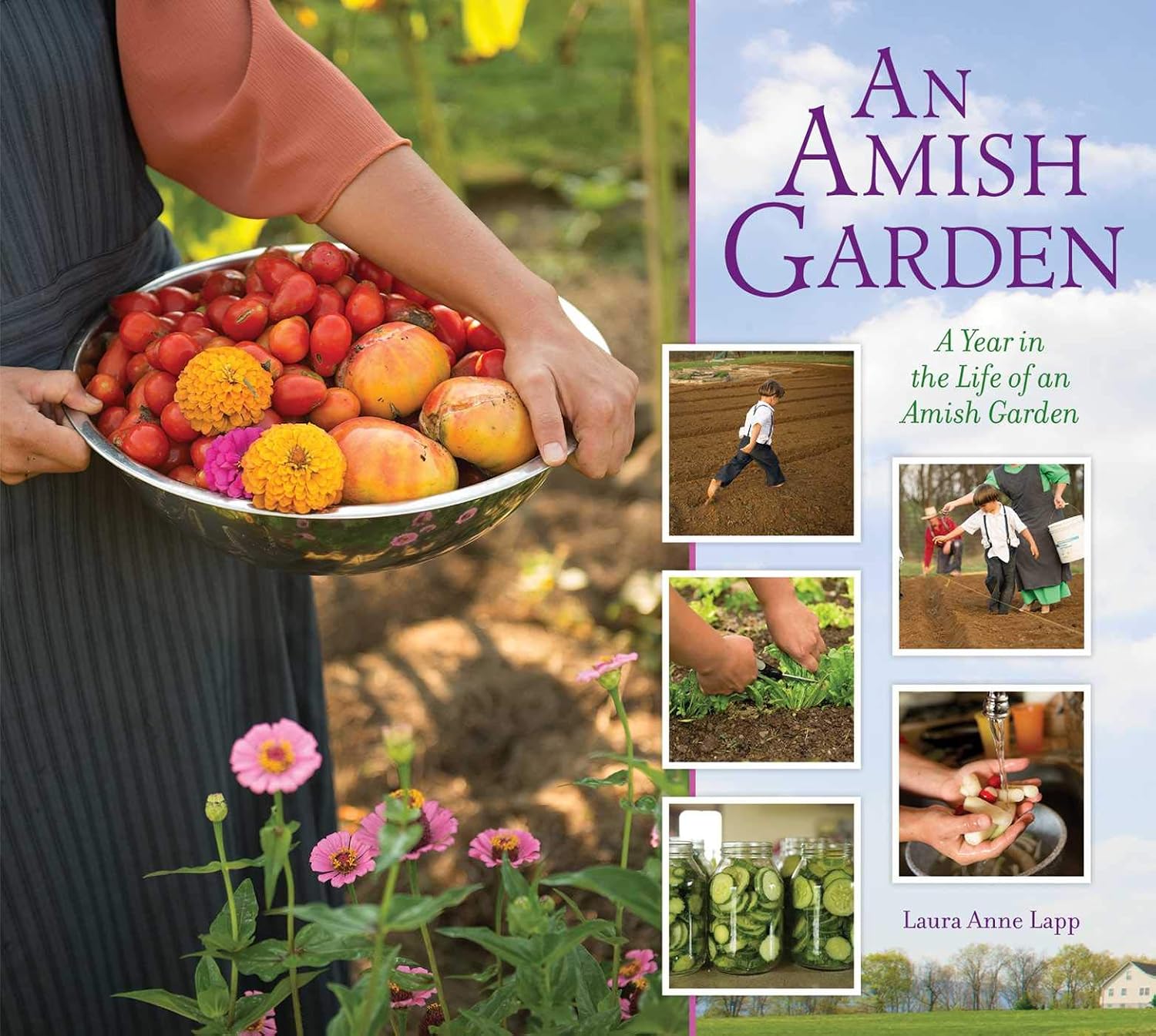 Amish Garden: A Year In The Life Of An Amish Garden by Laura Anne Lapp