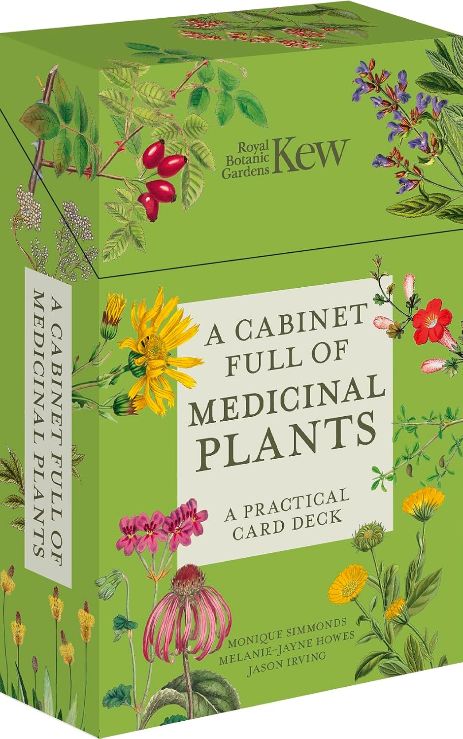 A Cabinet Full of Medicinal Plants: A Practical Card Deck (Kew Experts) by Royal Botanic Gardens Kew