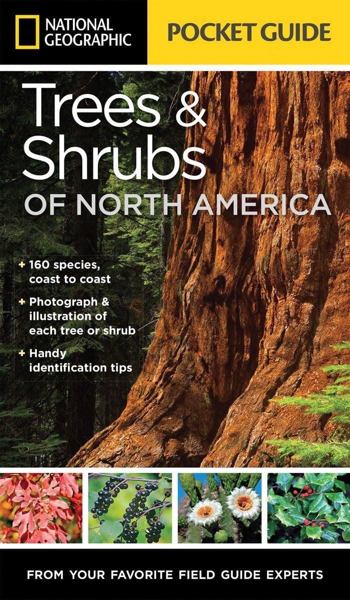 National Geographic Pocket Guide to Trees and Shrubs of North America | cycling-equipment by Bland Crowder