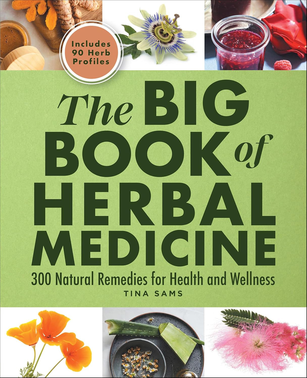 The Big Book of Herbal Medicine: 300 Natural Remedies for Health and Wellness by Tina Sams