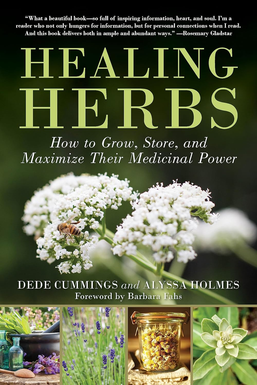 Healing Herbs: How to Grow, Store, and Maximize Their Medicinal Power by Dede Cummings