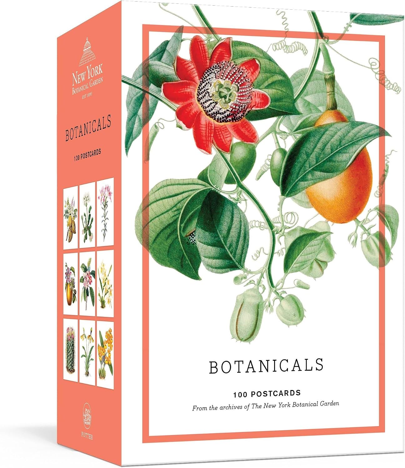 Botanicals: 100 Postcards from the Archives of the New York Botanical Garden by The New York Botanical Garden