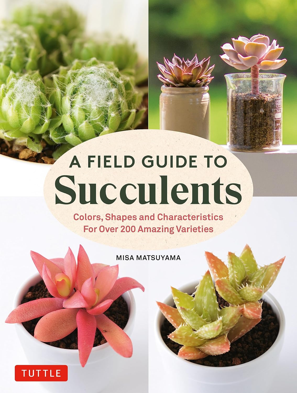 A Field Guide to Succulents: Colors, Shapes and Characteristics for Over 200 Amazing Varieties by Misa Matsuyama