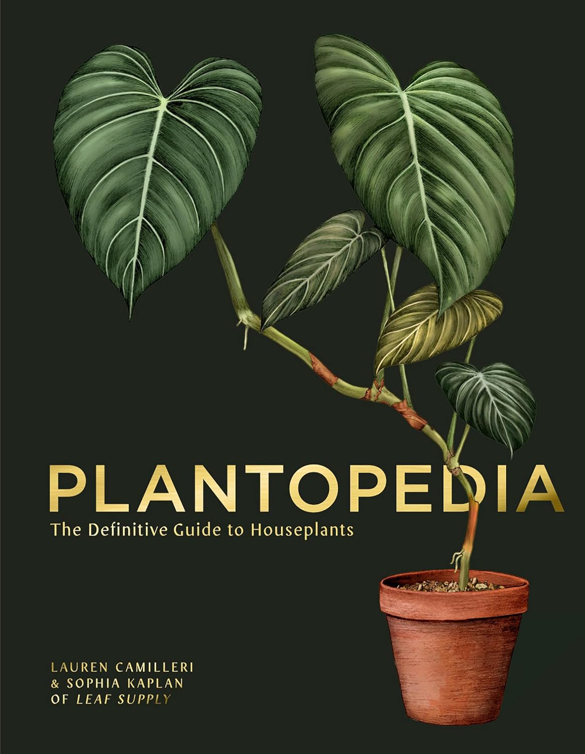 Plantopedia: The Definitive Guide to Houseplants by Lauren Camilleri