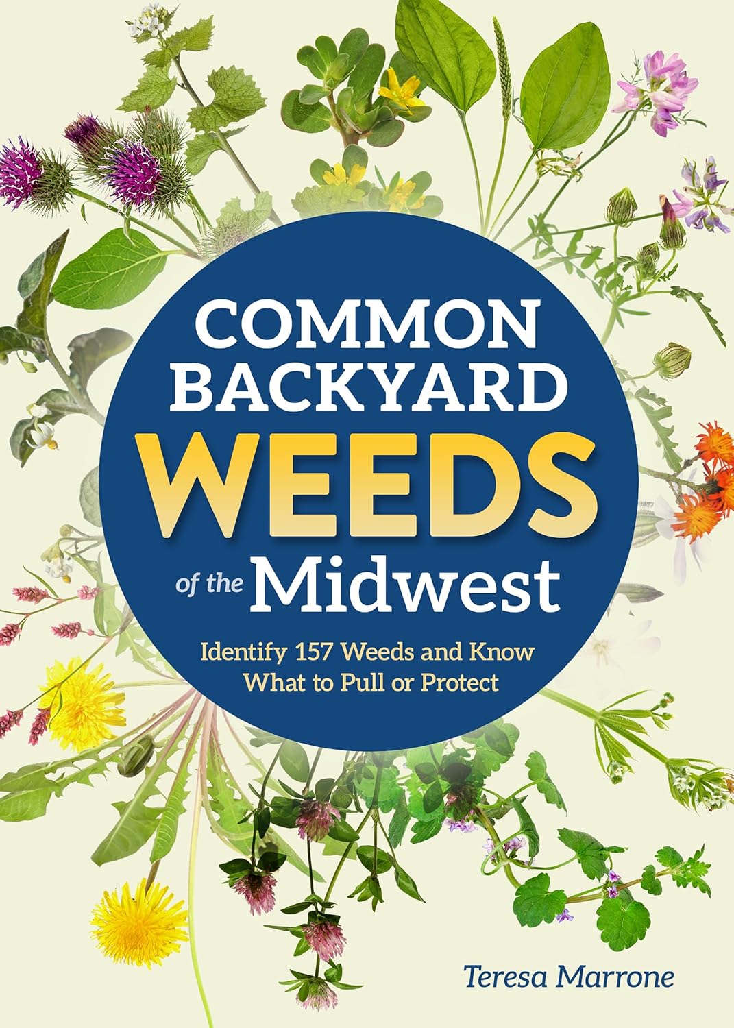 Common Backyard Weeds of the Midwest: Identify 157 Weeds and Know What to Pull or Protect (Backyard Weed Guides) by Teresa Marrone