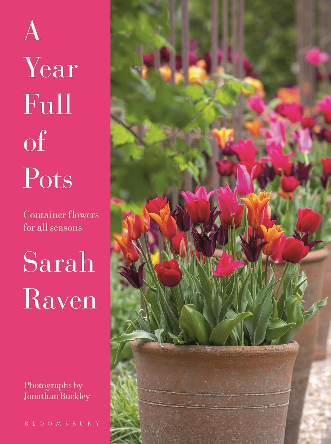 A Year Full of Pots: Container Flowers for All Seasons by Sarah Raven